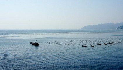 黄海紧张对峙！中方下达通牒，韩国海警拒绝离开，对华提出抗议