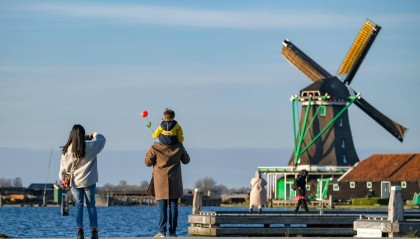 游客太多 荷兰“风车村”计划收门票以限流