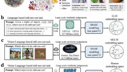 我国科学家首次证实大模型能像人类一样“理解”事物
