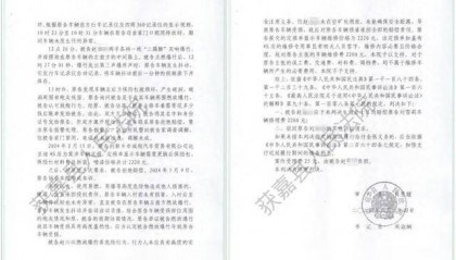 新乡一法院上门执行将被执行人母亲“抬走”，3根肋骨骨折，谁担责？