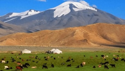 真实的外蒙古有多离谱，“性旅游业”带动经济，靠出国黑工赚外汇