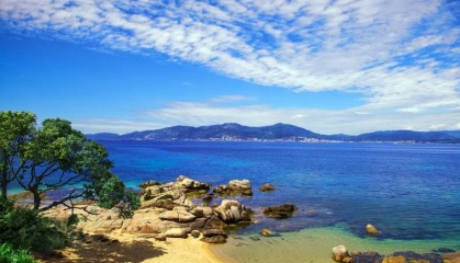 NCE外汇：未来投资平台的全方位解析