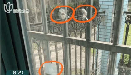 叶某(60岁)已被刑拘！监控曝光…网友怒斥如此行径太恶劣