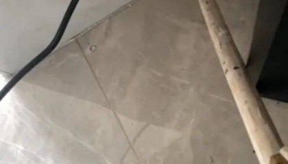 广州一小区2年抓到超60条蛇？业主：家里来过两三条，物业回应