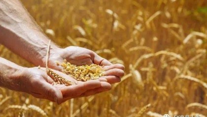 外汇交易新手篇—谨以此文献给想学习外汇交易的朋友