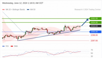 每日策略：06/12 外汇黄金原油行情分析