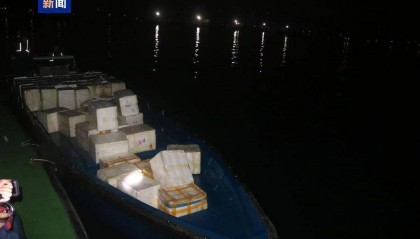 共计4.13吨！广西北海海警查获一起涉嫌走私水果案