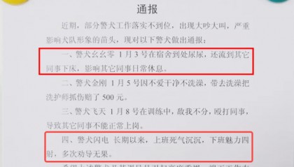 “上班死气沉沉、下班魅力四射”，警犬被通报