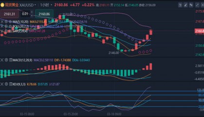 冯喜运：3.19外汇黄金原油走势分析及操作建议