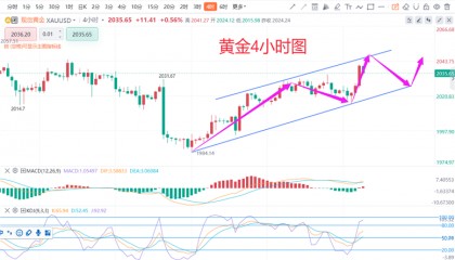张德盛：2.24黄金下周行情预测，开盘多空走势分析实时操作