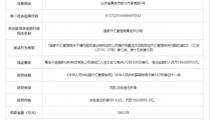 青岛一企业违反外汇规定获利591元，被罚1863万