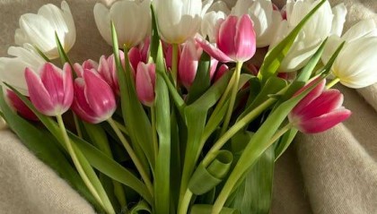 期权波动率怎么做？期权波动率交易策略