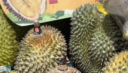 “贵族水果”榴莲进入“1”字头时代，国庆中秋或将提价｜消费观察