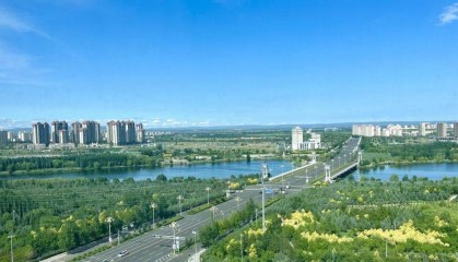 人身保险组合理论——保费-风险波动率联动的决策模型