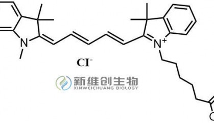 CY5-RVG29神经细胞表面受体YTIWMPENPRPGTPCDIFTNSRGKRASNGC