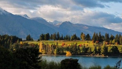 如何在NCE外汇平台上优化交易策略？