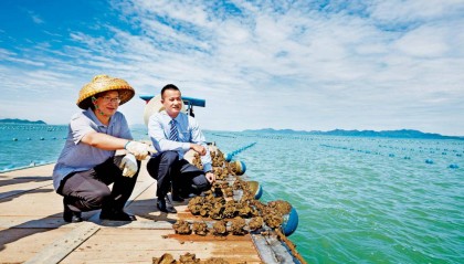 邮储银行小额贷款累计投放突破10万亿元！