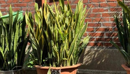 去厦门五天需要多少钱？1280俩个人买一送一！！！