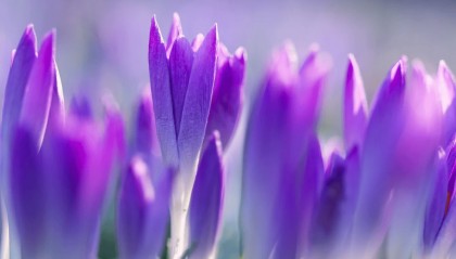 期权交易中如何设置合理的仓位大小和止损点？