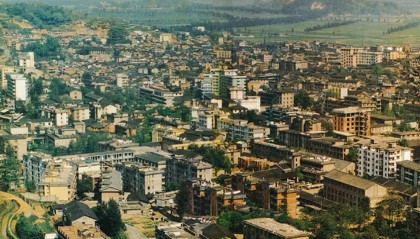 学习·故事丨青山变“金”山 习近平与三棵杉树的故事