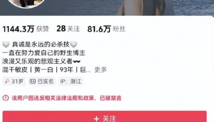 家中一年电费超40万元！千万粉丝网红大蓝的妻子晒豪宅引争议，已被禁言