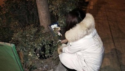 一医学生疑因论文数据被挪用身亡，医院成立专班调查