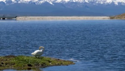 NCE外汇：探索顶尖交易平台的全面优势