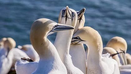 高速发展的中国-恒温恒湿设备的发展前景