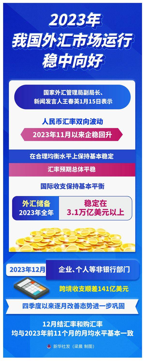 2023年我国外汇市场运行稳中向好