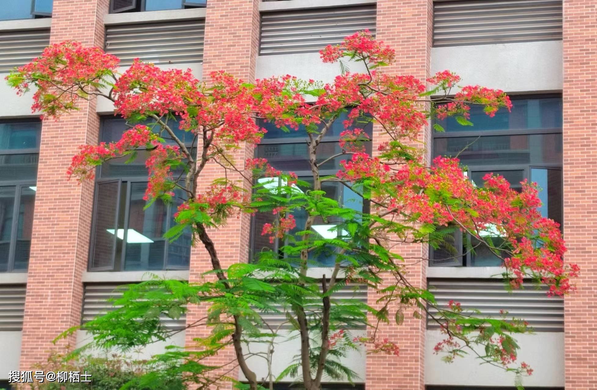 【高考备考】每天5道题，考试不丢分——理解性默写天天练 · 第201——329 题