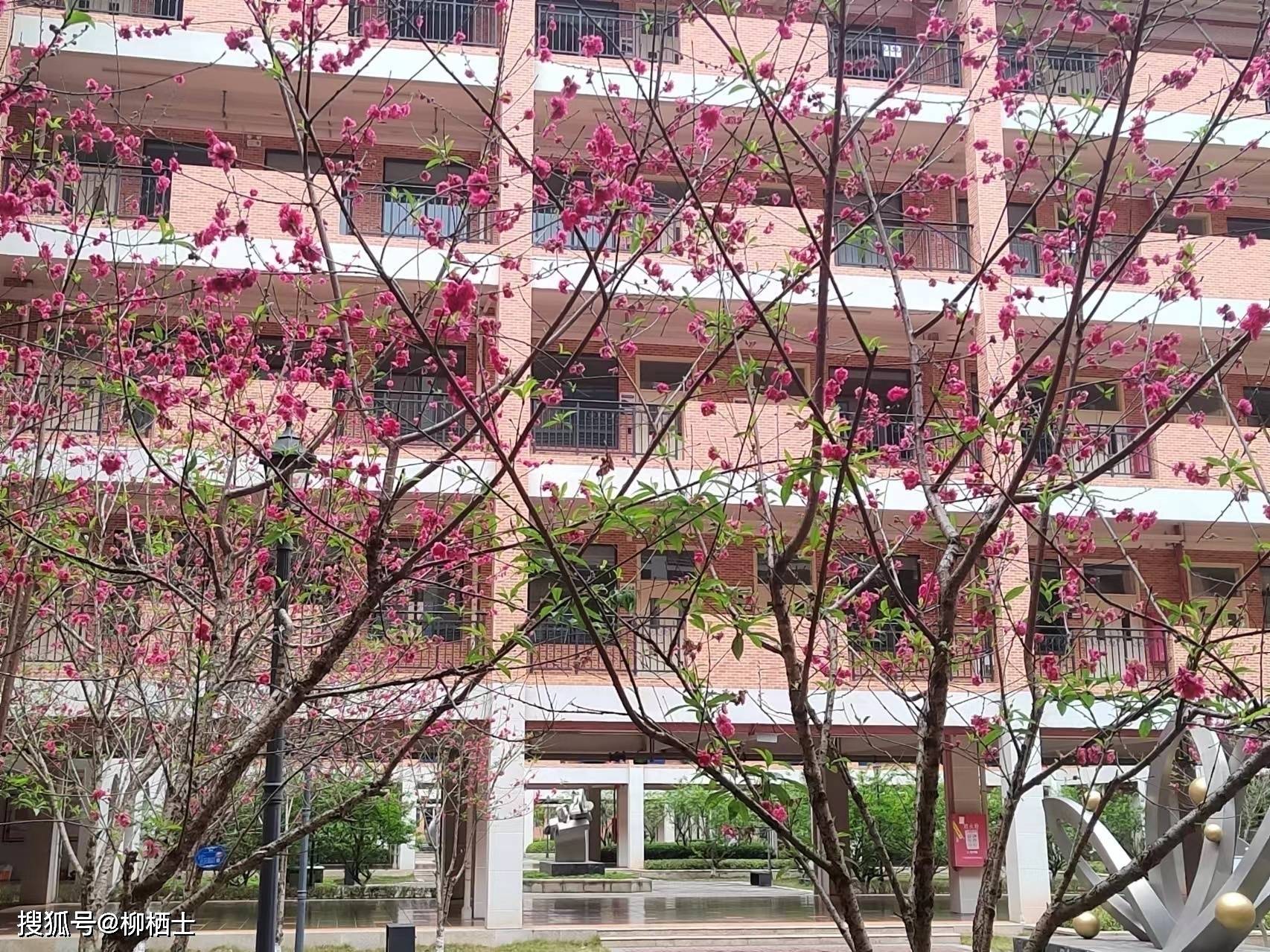 【高考备考】每天5道题，考试不丢分——理解性默写天天练 · 第201——329 题