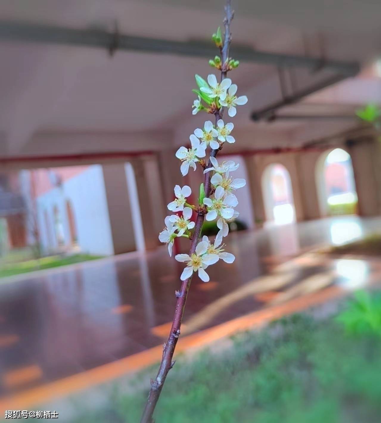 【高考备考】每天5道题，考试不丢分——理解性默写天天练 · 第201——329 题
