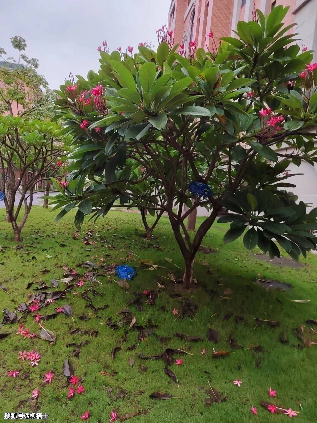 【高考备考】每天5道题，考试不丢分——理解性默写天天练 · 第201——329 题