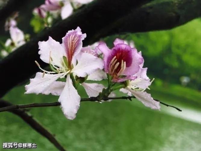 【高考备考】每天5道题，考试不丢分——理解性默写天天练 · 第201——329 题