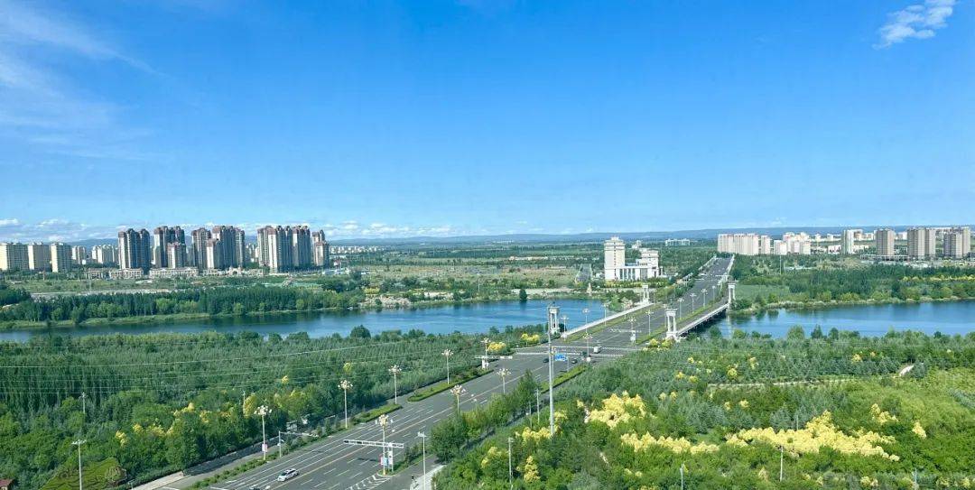 人身保险组合理论——保费-风险波动率联动的决策模型