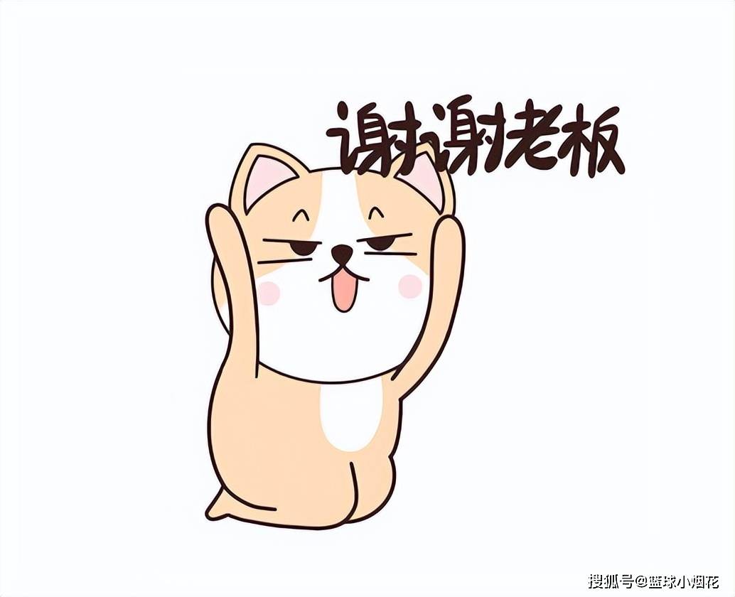 交易分析：2010年火箭卖麦迪是亏了还是赚了？大赚血赚！