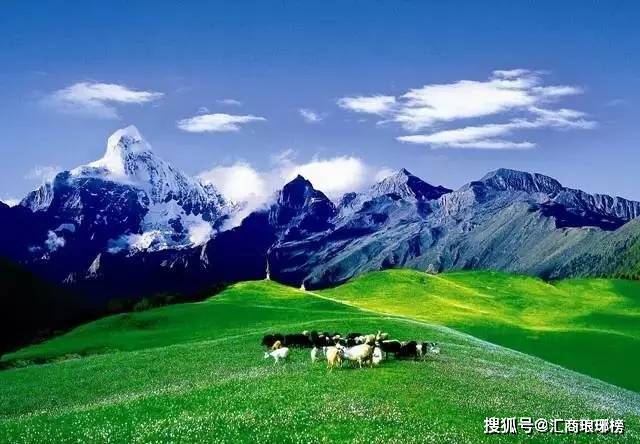 （原创）十年职业外汇老司机之 心中的“波浪”｜琅琊榜种子交易员至深感悟