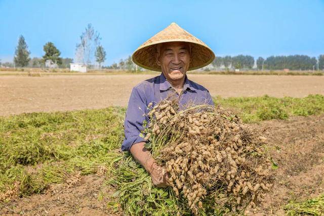 “花生上树”闹剧:AI翻车背后,我们都在弄丢常识?
