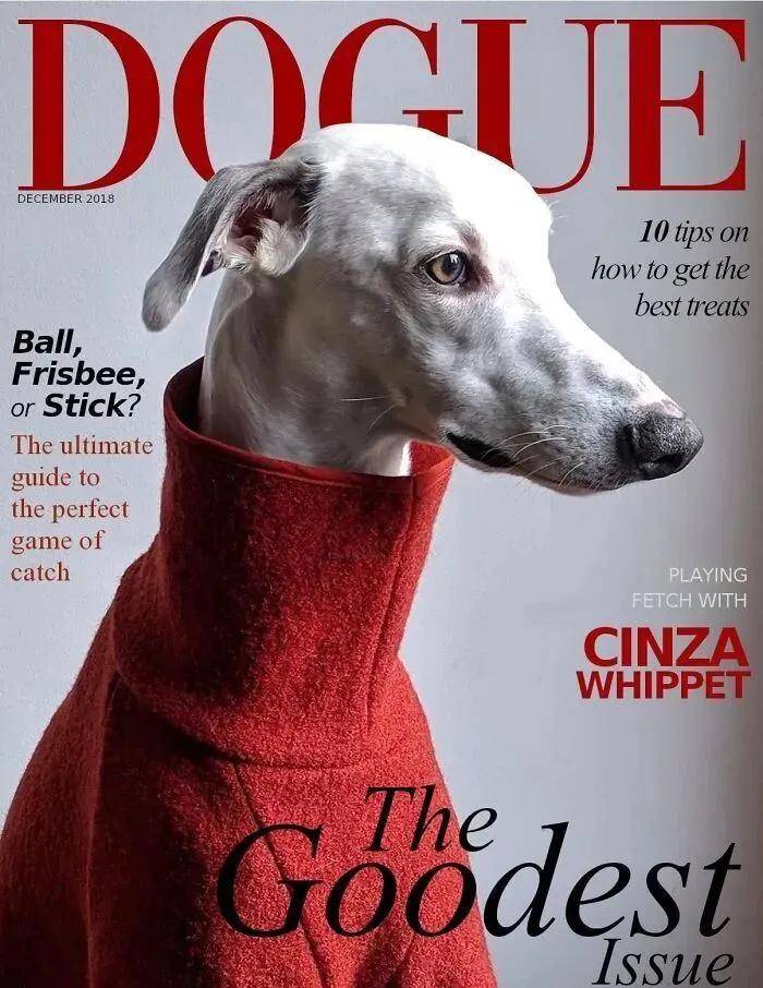 年近四十,二孩妈妈,不骨感不时髦,却成了女魔头接班人