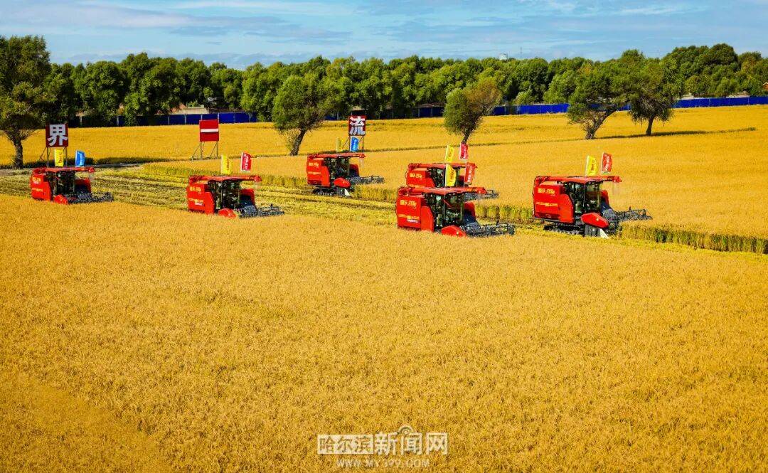 哈市粮食作物已收获693.8万亩