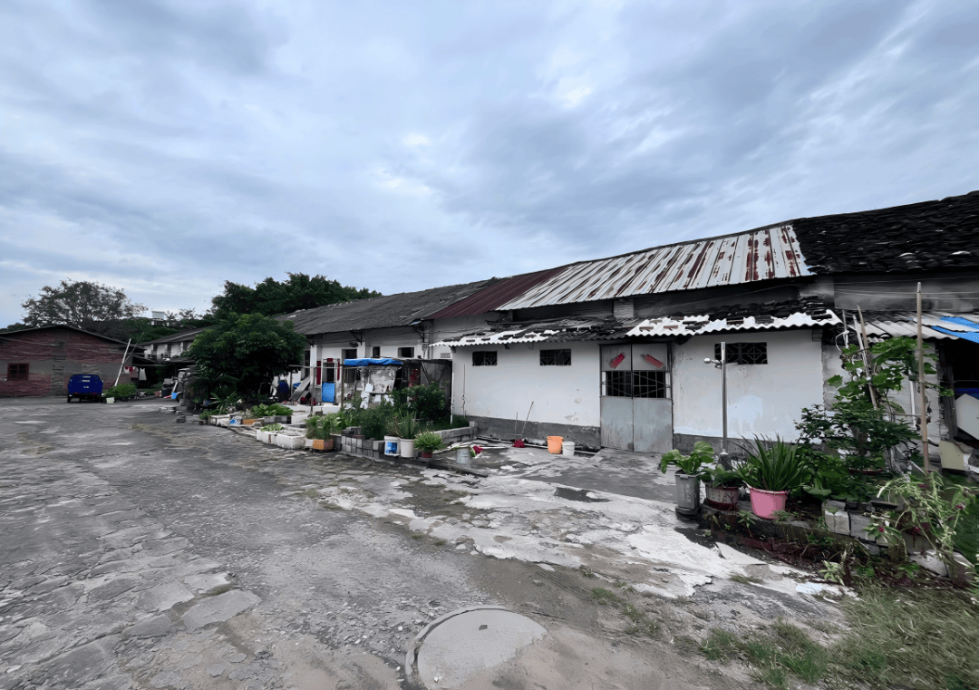 上大分！人民路上为人民