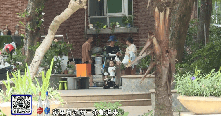 广州一小区2年抓到超60条蛇？业主：家里来过两三条，物业回应