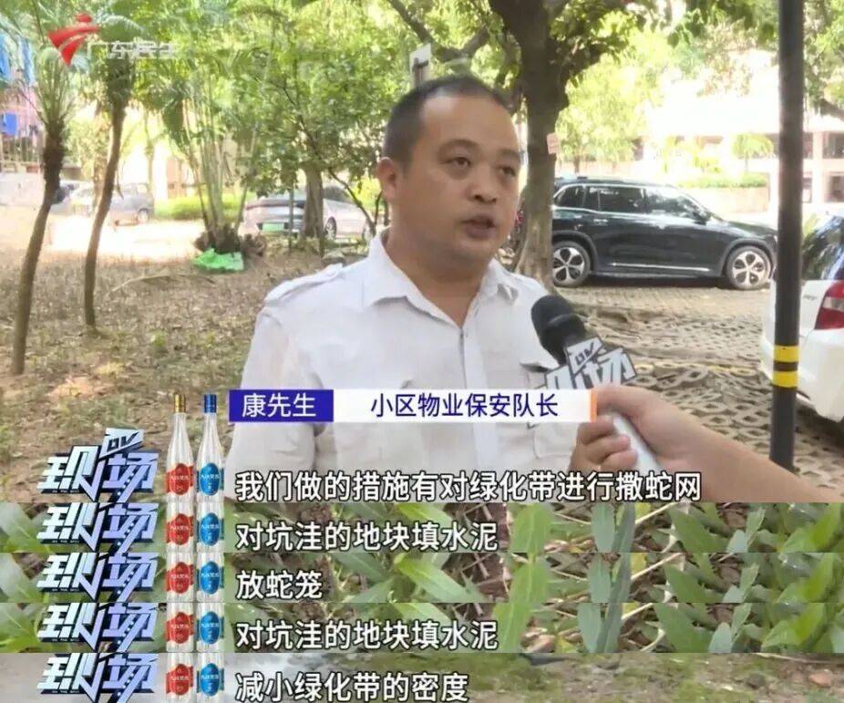 广州一小区2年抓到超60条蛇？业主：家里来过两三条，物业回应