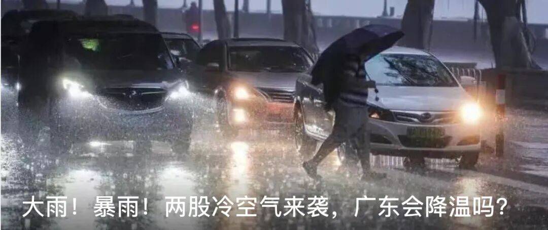 广州一小区2年抓到超60条蛇？业主：家里来过两三条，物业回应