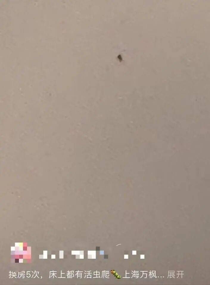 “连换5间房,每间床上都有活虫!”上海新开高档酒店回应