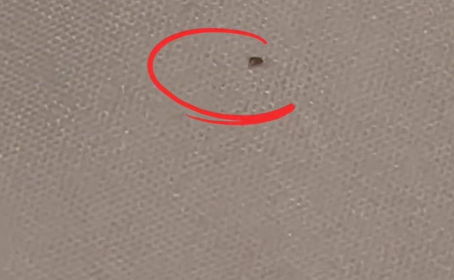 “连换5间房,每间床上都有活虫!”上海新开高档酒店回应