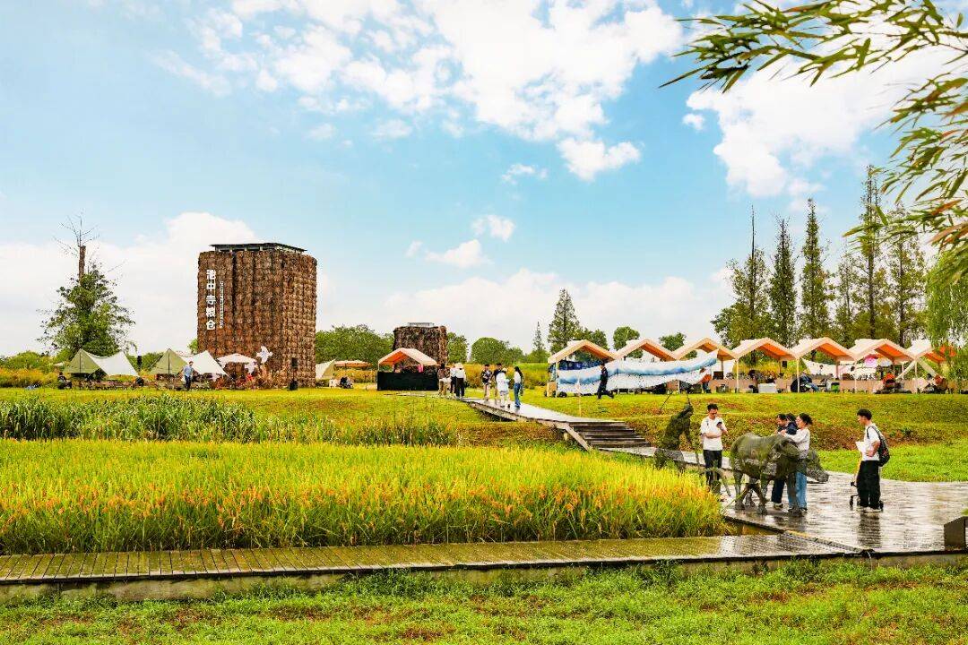 良渚遇“稻”你 | 秋季活动正当时