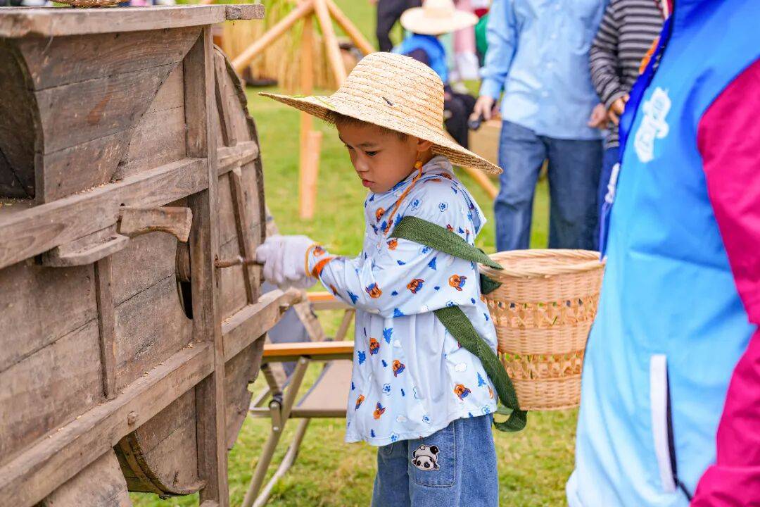 良渚遇“稻”你 | 秋季活动正当时