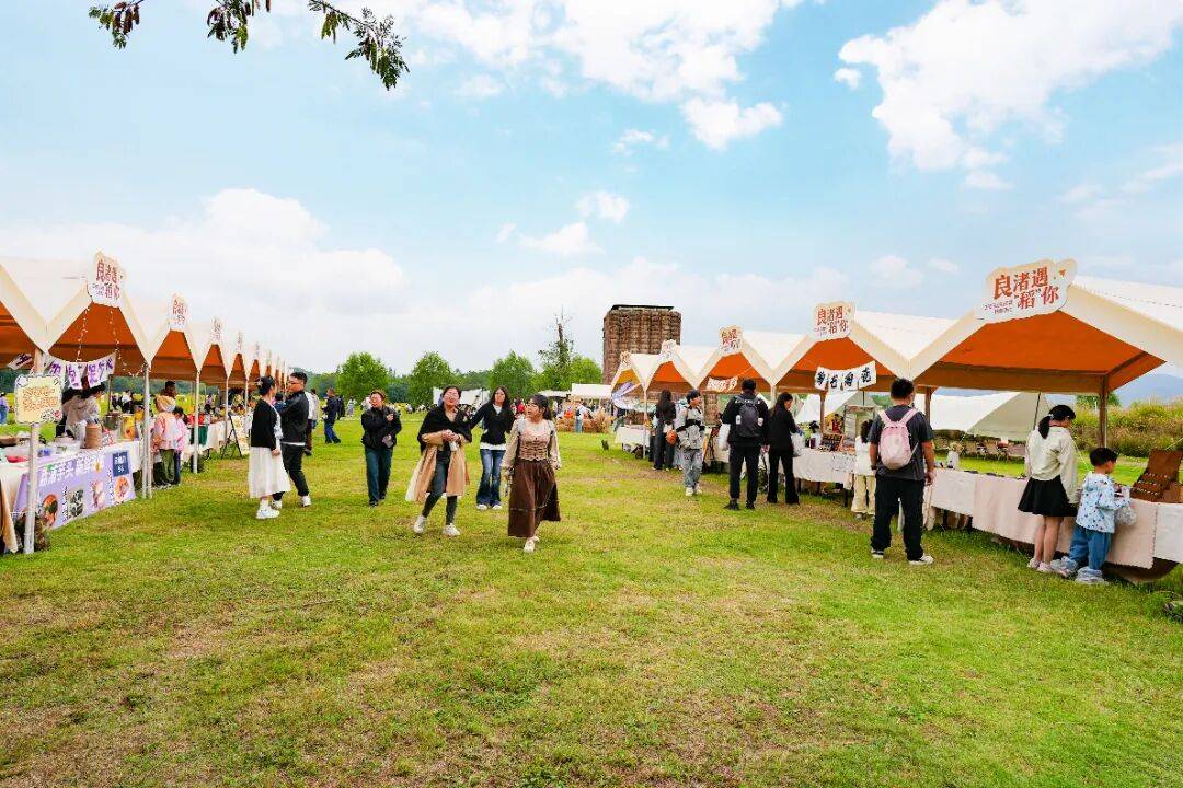 良渚遇“稻”你 | 秋季活动正当时