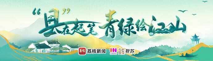 “县”在起笔 青绿绘江山丨天山映翠处,云杉碧水共新生